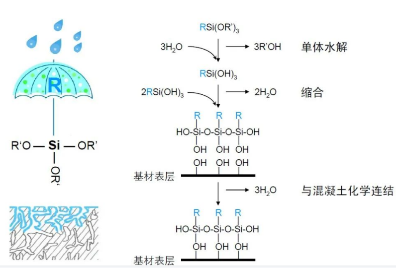 防護(hù)機(jī)理.png